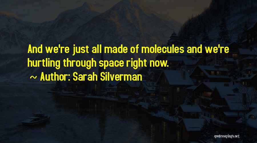 Sarah Silverman Quotes: And We're Just All Made Of Molecules And We're Hurtling Through Space Right Now.