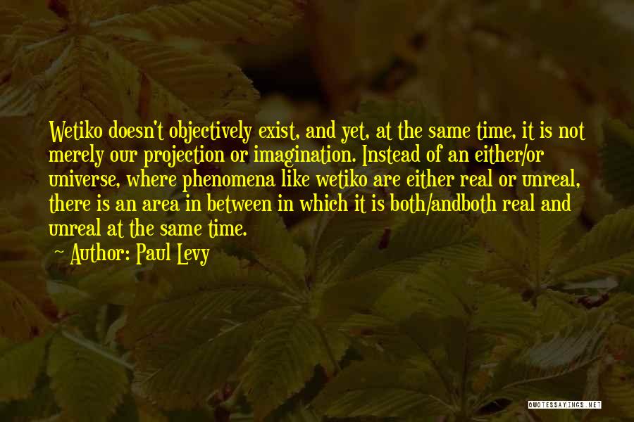 Paul Levy Quotes: Wetiko Doesn't Objectively Exist, And Yet, At The Same Time, It Is Not Merely Our Projection Or Imagination. Instead Of