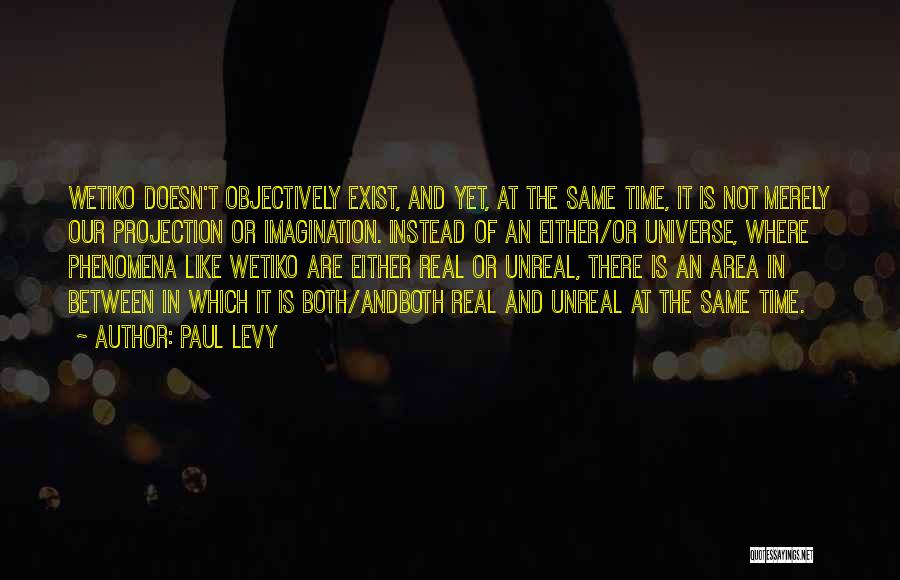 Paul Levy Quotes: Wetiko Doesn't Objectively Exist, And Yet, At The Same Time, It Is Not Merely Our Projection Or Imagination. Instead Of