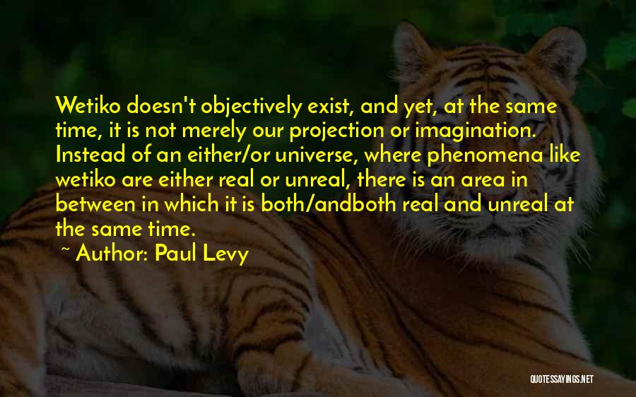 Paul Levy Quotes: Wetiko Doesn't Objectively Exist, And Yet, At The Same Time, It Is Not Merely Our Projection Or Imagination. Instead Of