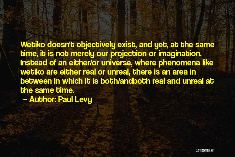 Paul Levy Quotes: Wetiko Doesn't Objectively Exist, And Yet, At The Same Time, It Is Not Merely Our Projection Or Imagination. Instead Of