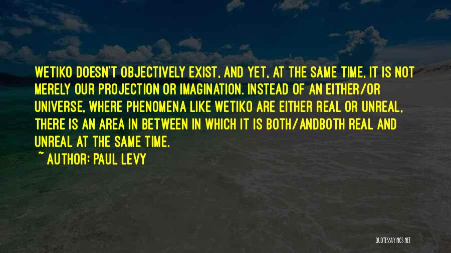 Paul Levy Quotes: Wetiko Doesn't Objectively Exist, And Yet, At The Same Time, It Is Not Merely Our Projection Or Imagination. Instead Of