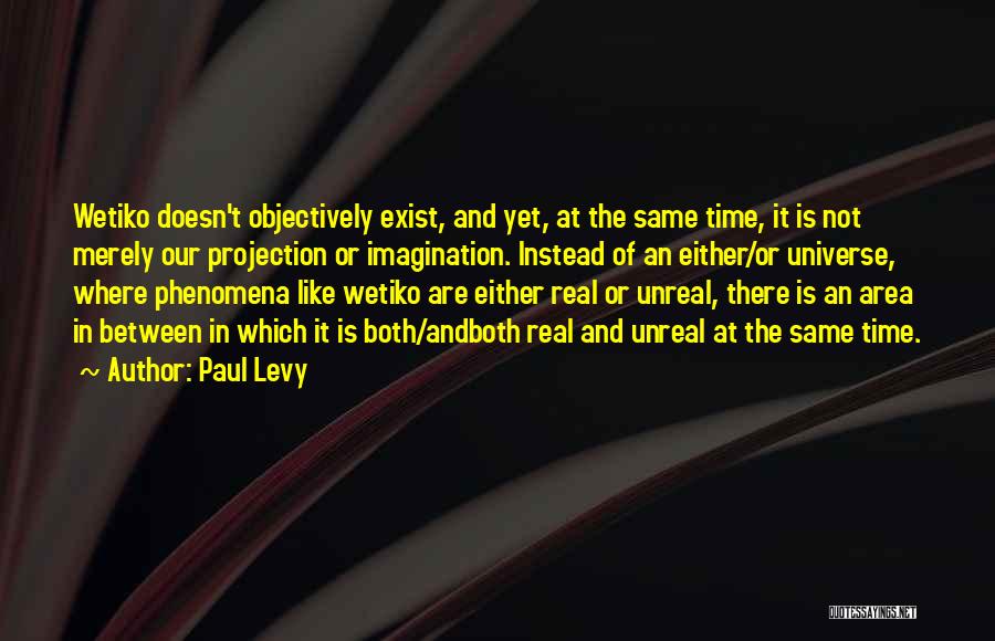 Paul Levy Quotes: Wetiko Doesn't Objectively Exist, And Yet, At The Same Time, It Is Not Merely Our Projection Or Imagination. Instead Of