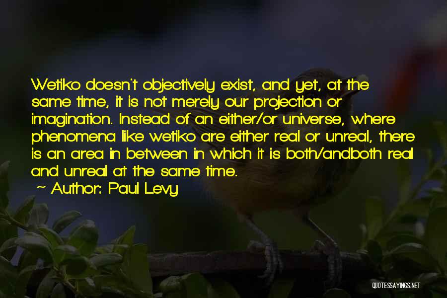 Paul Levy Quotes: Wetiko Doesn't Objectively Exist, And Yet, At The Same Time, It Is Not Merely Our Projection Or Imagination. Instead Of