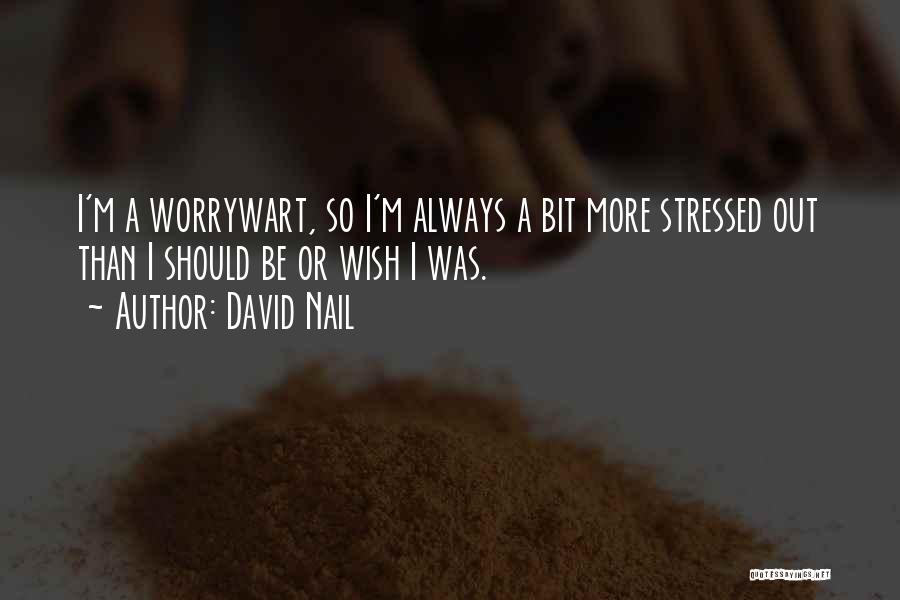 David Nail Quotes: I'm A Worrywart, So I'm Always A Bit More Stressed Out Than I Should Be Or Wish I Was.