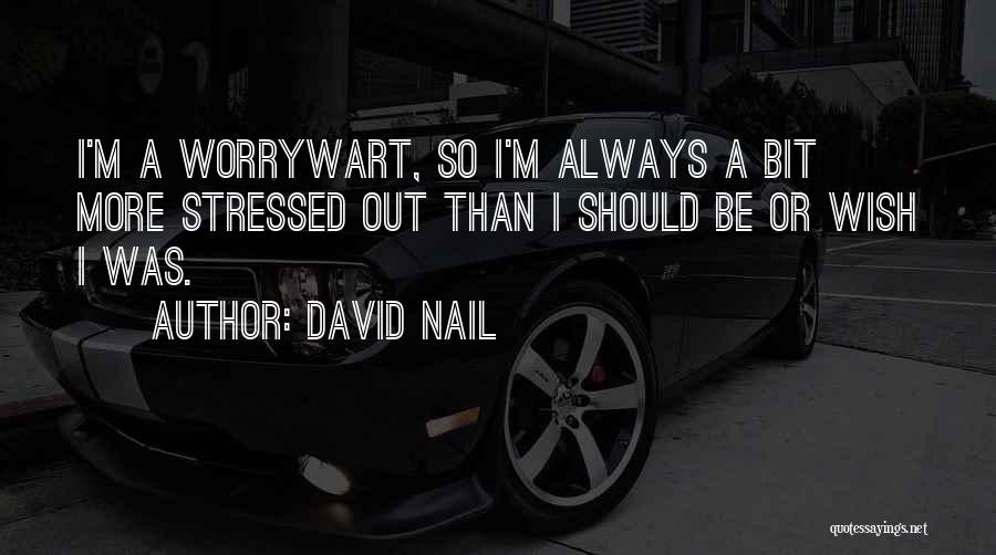 David Nail Quotes: I'm A Worrywart, So I'm Always A Bit More Stressed Out Than I Should Be Or Wish I Was.