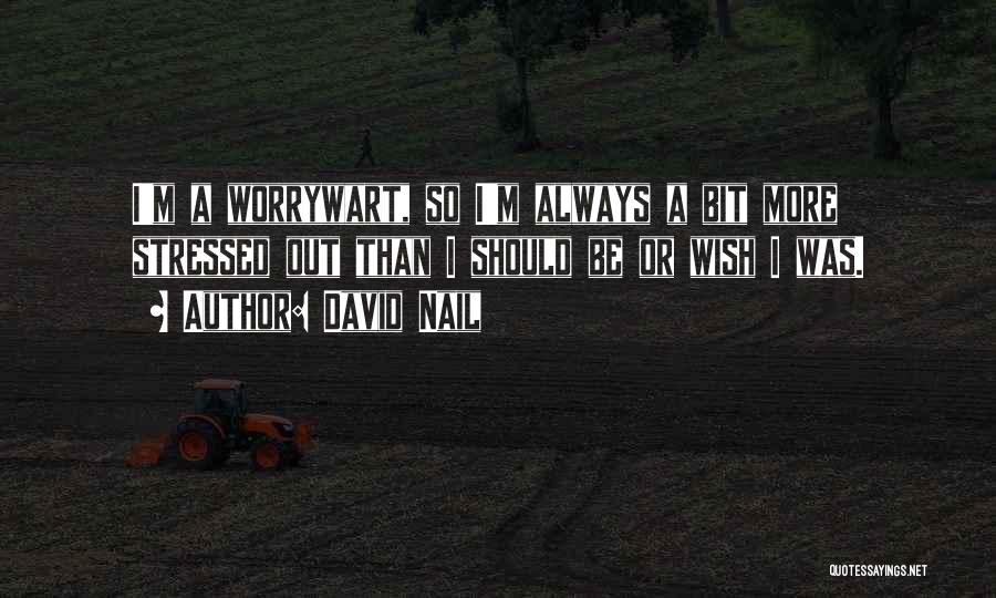 David Nail Quotes: I'm A Worrywart, So I'm Always A Bit More Stressed Out Than I Should Be Or Wish I Was.