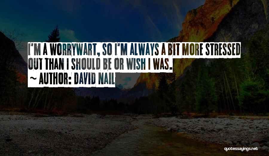 David Nail Quotes: I'm A Worrywart, So I'm Always A Bit More Stressed Out Than I Should Be Or Wish I Was.