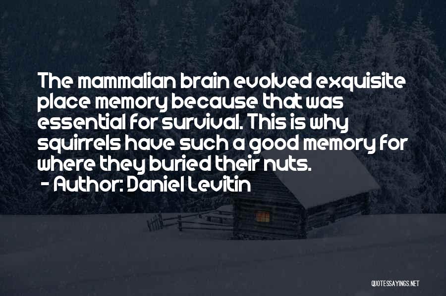 Daniel Levitin Quotes: The Mammalian Brain Evolved Exquisite Place Memory Because That Was Essential For Survival. This Is Why Squirrels Have Such A