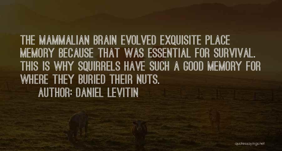 Daniel Levitin Quotes: The Mammalian Brain Evolved Exquisite Place Memory Because That Was Essential For Survival. This Is Why Squirrels Have Such A