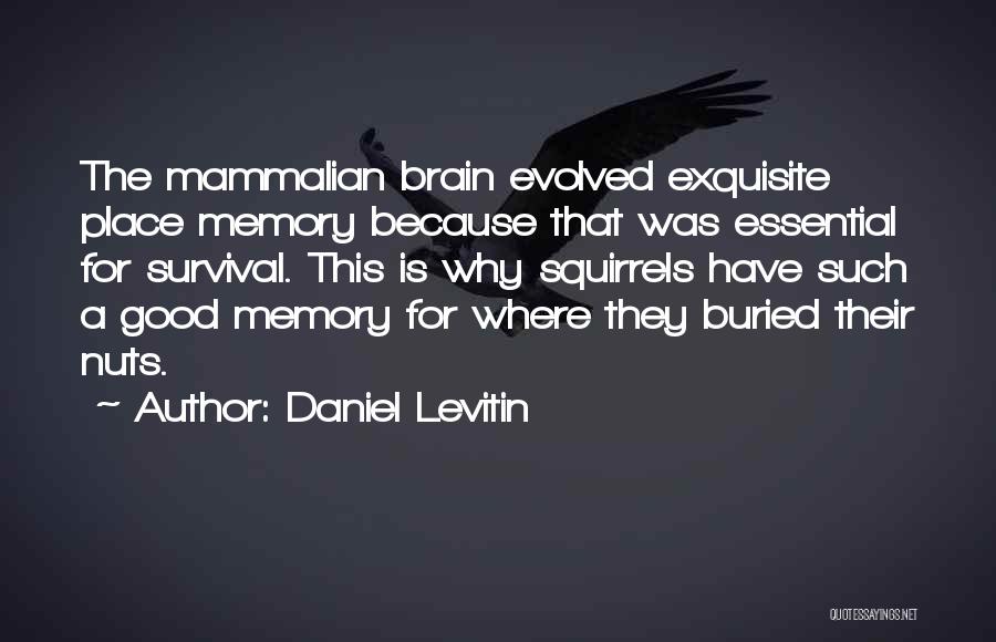 Daniel Levitin Quotes: The Mammalian Brain Evolved Exquisite Place Memory Because That Was Essential For Survival. This Is Why Squirrels Have Such A