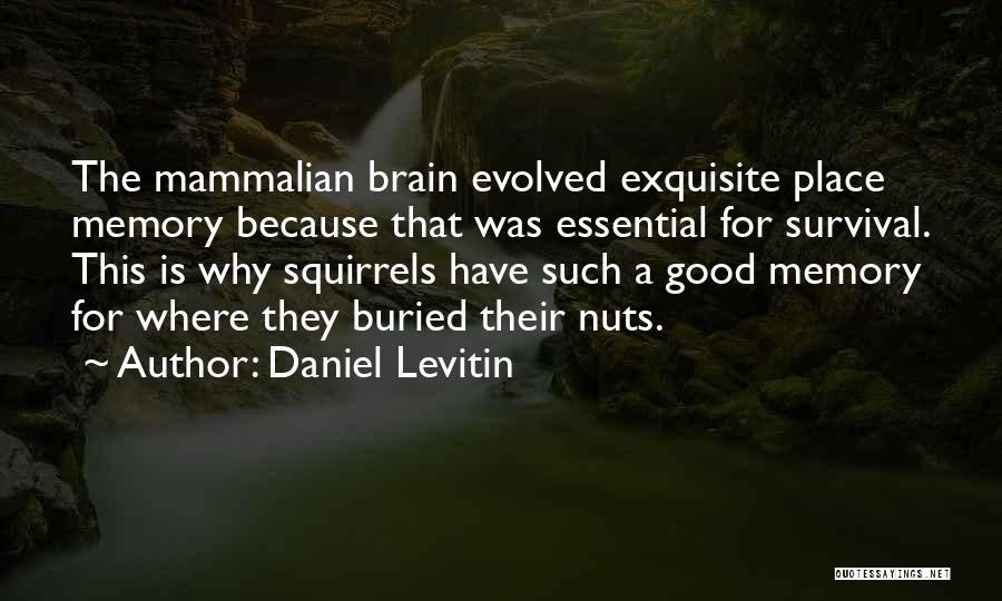 Daniel Levitin Quotes: The Mammalian Brain Evolved Exquisite Place Memory Because That Was Essential For Survival. This Is Why Squirrels Have Such A