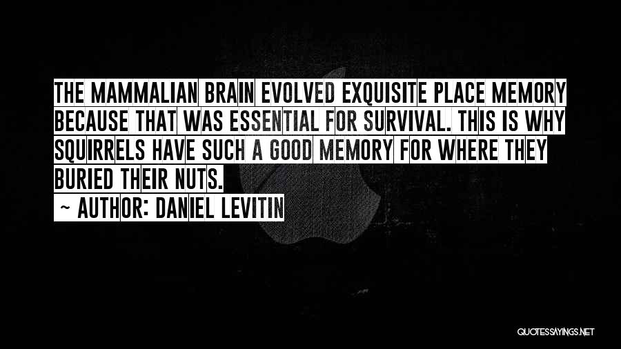 Daniel Levitin Quotes: The Mammalian Brain Evolved Exquisite Place Memory Because That Was Essential For Survival. This Is Why Squirrels Have Such A