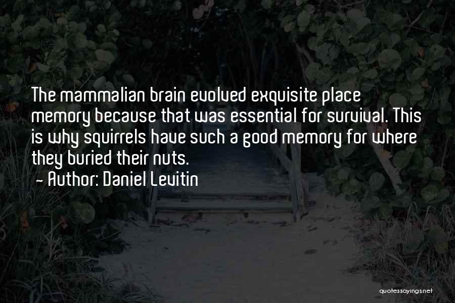 Daniel Levitin Quotes: The Mammalian Brain Evolved Exquisite Place Memory Because That Was Essential For Survival. This Is Why Squirrels Have Such A