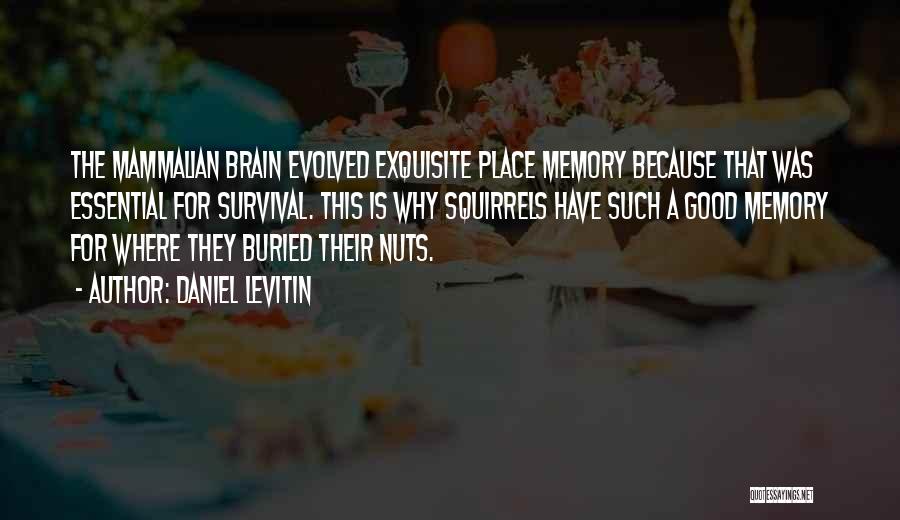 Daniel Levitin Quotes: The Mammalian Brain Evolved Exquisite Place Memory Because That Was Essential For Survival. This Is Why Squirrels Have Such A