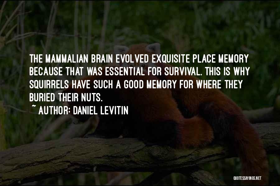 Daniel Levitin Quotes: The Mammalian Brain Evolved Exquisite Place Memory Because That Was Essential For Survival. This Is Why Squirrels Have Such A