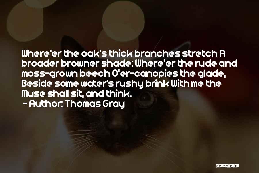 Thomas Gray Quotes: Where'er The Oak's Thick Branches Stretch A Broader Browner Shade; Where'er The Rude And Moss-grown Beech O'er-canopies The Glade, Beside