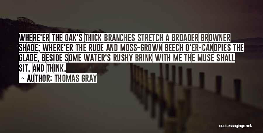 Thomas Gray Quotes: Where'er The Oak's Thick Branches Stretch A Broader Browner Shade; Where'er The Rude And Moss-grown Beech O'er-canopies The Glade, Beside