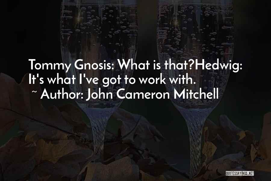 John Cameron Mitchell Quotes: Tommy Gnosis: What Is That?hedwig: It's What I've Got To Work With.