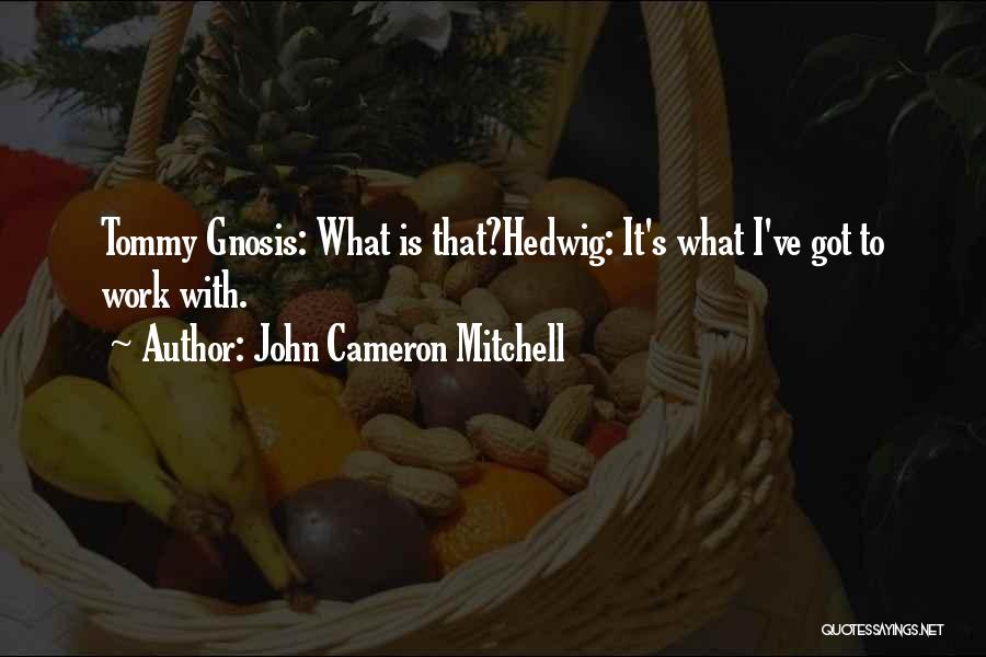 John Cameron Mitchell Quotes: Tommy Gnosis: What Is That?hedwig: It's What I've Got To Work With.