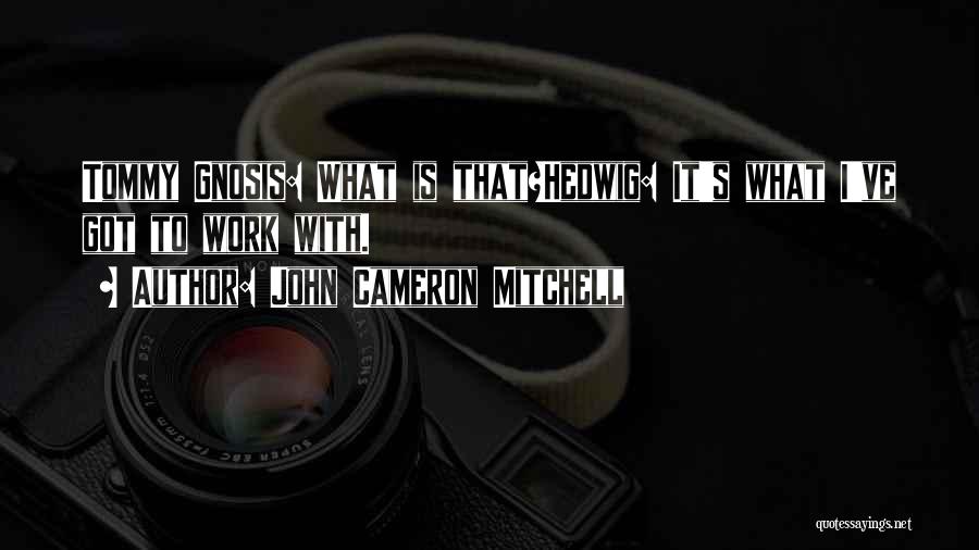 John Cameron Mitchell Quotes: Tommy Gnosis: What Is That?hedwig: It's What I've Got To Work With.