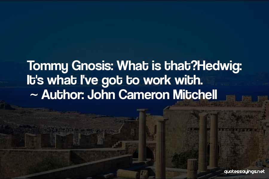 John Cameron Mitchell Quotes: Tommy Gnosis: What Is That?hedwig: It's What I've Got To Work With.