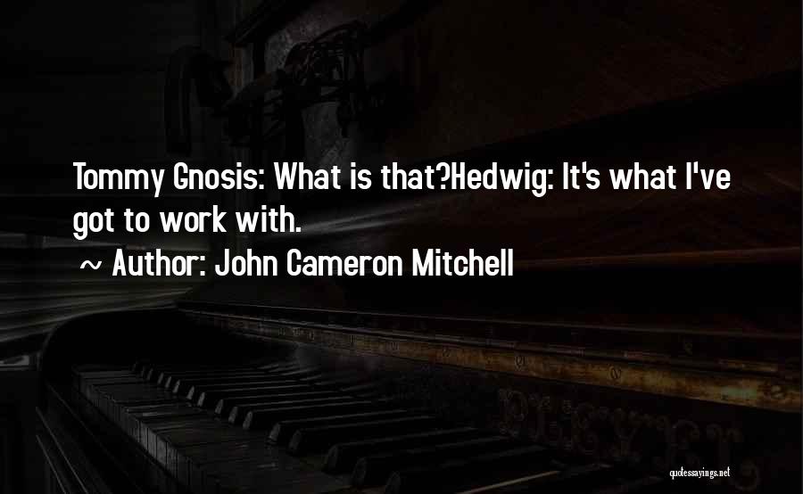 John Cameron Mitchell Quotes: Tommy Gnosis: What Is That?hedwig: It's What I've Got To Work With.