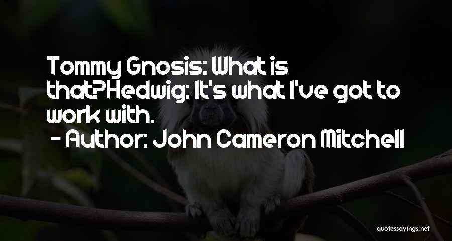 John Cameron Mitchell Quotes: Tommy Gnosis: What Is That?hedwig: It's What I've Got To Work With.