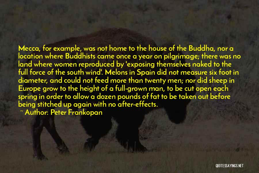 Peter Frankopan Quotes: Mecca, For Example, Was Not Home To The House Of The Buddha, Nor A Location Where Buddhists Came Once A