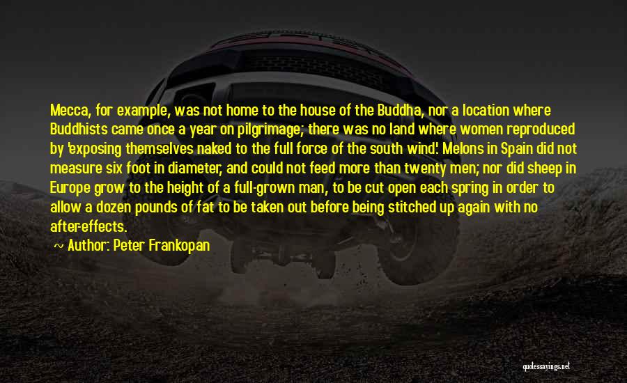 Peter Frankopan Quotes: Mecca, For Example, Was Not Home To The House Of The Buddha, Nor A Location Where Buddhists Came Once A