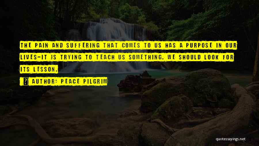 Peace Pilgrim Quotes: The Pain And Suffering That Comes To Us Has A Purpose In Our Lives-it Is Trying To Teach Us Something.