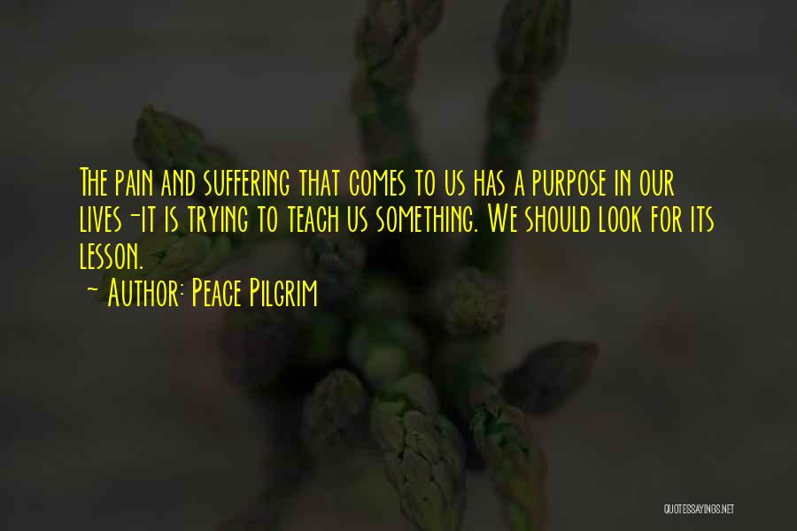 Peace Pilgrim Quotes: The Pain And Suffering That Comes To Us Has A Purpose In Our Lives-it Is Trying To Teach Us Something.