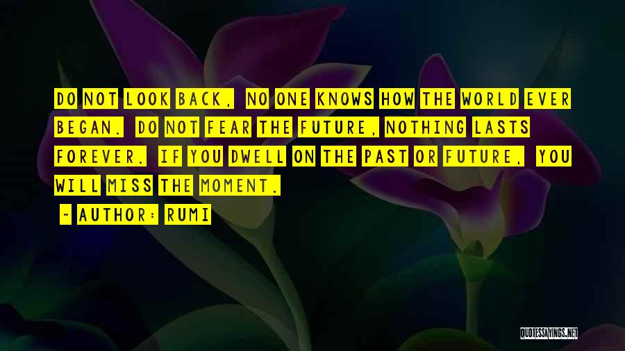 Rumi Quotes: Do Not Look Back, No One Knows How The World Ever Began. Do Not Fear The Future, Nothing Lasts Forever.