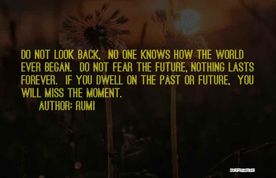 Rumi Quotes: Do Not Look Back, No One Knows How The World Ever Began. Do Not Fear The Future, Nothing Lasts Forever.