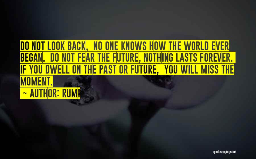 Rumi Quotes: Do Not Look Back, No One Knows How The World Ever Began. Do Not Fear The Future, Nothing Lasts Forever.