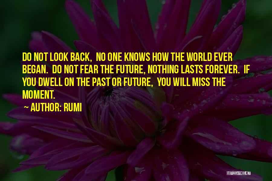 Rumi Quotes: Do Not Look Back, No One Knows How The World Ever Began. Do Not Fear The Future, Nothing Lasts Forever.