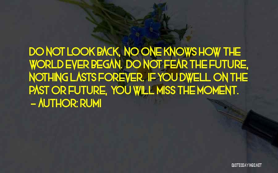 Rumi Quotes: Do Not Look Back, No One Knows How The World Ever Began. Do Not Fear The Future, Nothing Lasts Forever.