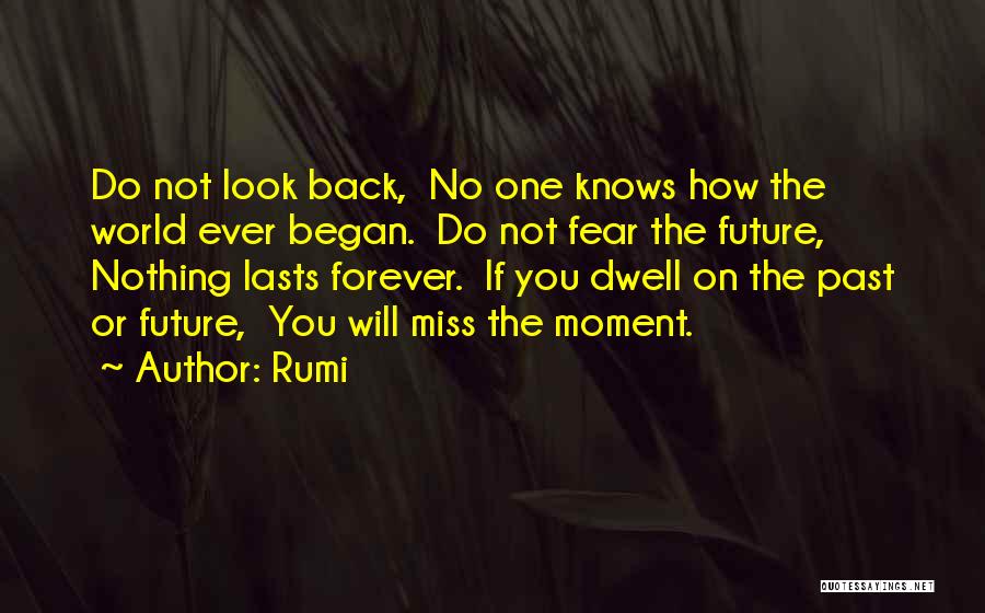 Rumi Quotes: Do Not Look Back, No One Knows How The World Ever Began. Do Not Fear The Future, Nothing Lasts Forever.