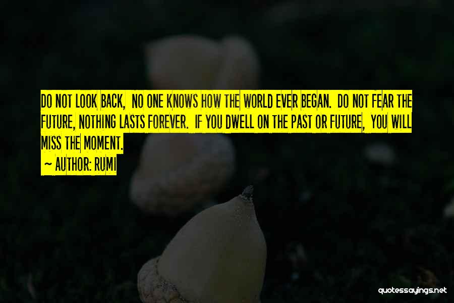 Rumi Quotes: Do Not Look Back, No One Knows How The World Ever Began. Do Not Fear The Future, Nothing Lasts Forever.