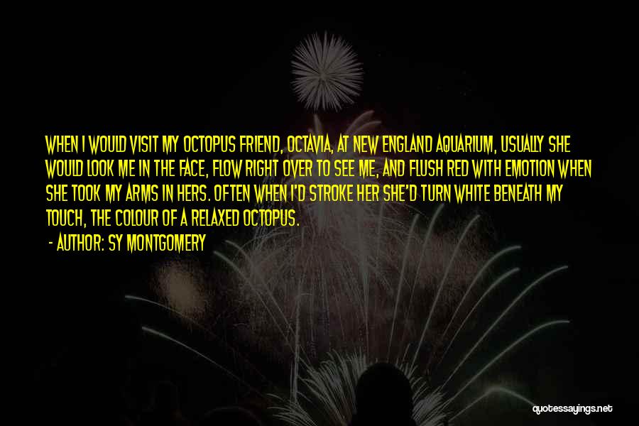 Sy Montgomery Quotes: When I Would Visit My Octopus Friend, Octavia, At New England Aquarium, Usually She Would Look Me In The Face,