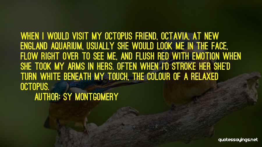 Sy Montgomery Quotes: When I Would Visit My Octopus Friend, Octavia, At New England Aquarium, Usually She Would Look Me In The Face,