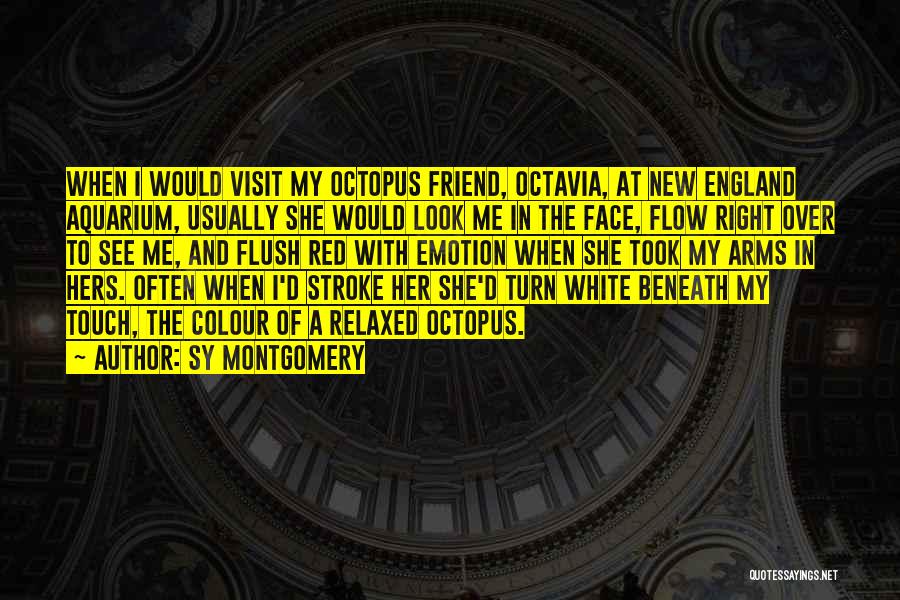 Sy Montgomery Quotes: When I Would Visit My Octopus Friend, Octavia, At New England Aquarium, Usually She Would Look Me In The Face,