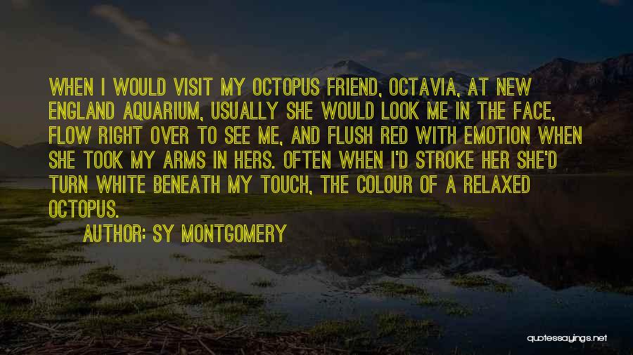 Sy Montgomery Quotes: When I Would Visit My Octopus Friend, Octavia, At New England Aquarium, Usually She Would Look Me In The Face,