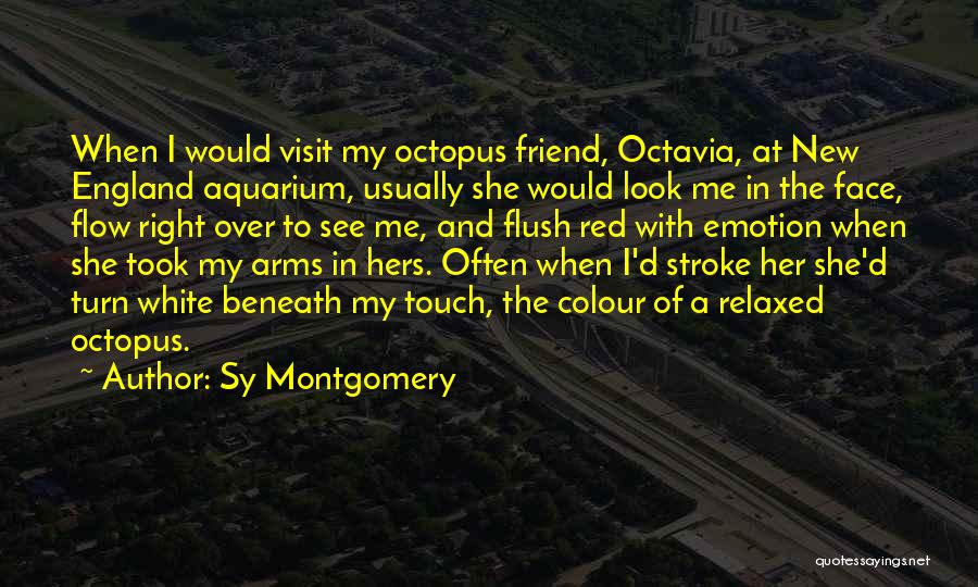 Sy Montgomery Quotes: When I Would Visit My Octopus Friend, Octavia, At New England Aquarium, Usually She Would Look Me In The Face,
