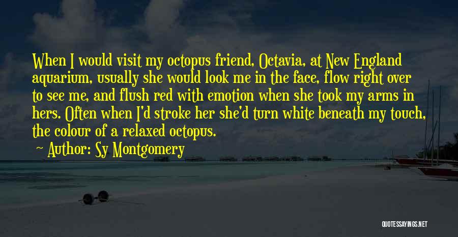 Sy Montgomery Quotes: When I Would Visit My Octopus Friend, Octavia, At New England Aquarium, Usually She Would Look Me In The Face,