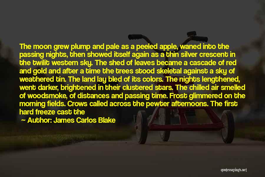James Carlos Blake Quotes: The Moon Grew Plump And Pale As A Peeled Apple, Waned Into The Passing Nights, Then Showed Itself Again As
