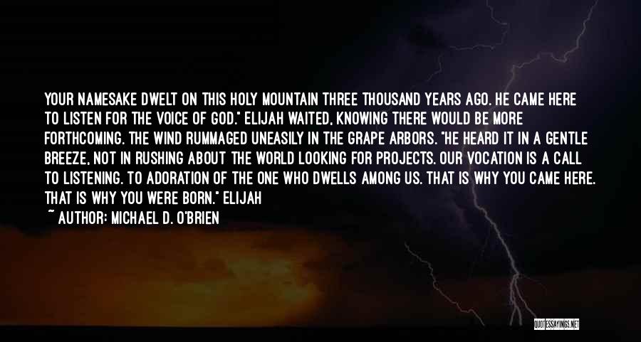 Michael D. O'Brien Quotes: Your Namesake Dwelt On This Holy Mountain Three Thousand Years Ago. He Came Here To Listen For The Voice Of