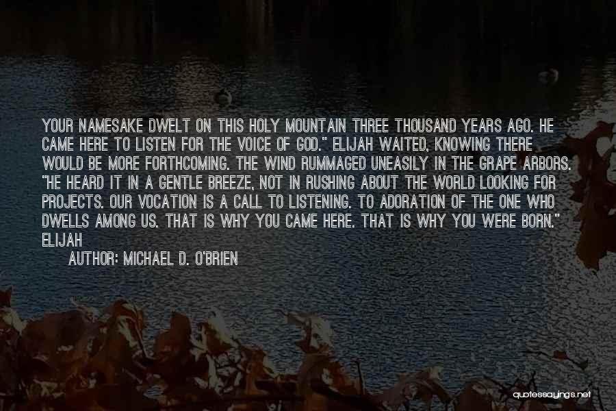 Michael D. O'Brien Quotes: Your Namesake Dwelt On This Holy Mountain Three Thousand Years Ago. He Came Here To Listen For The Voice Of