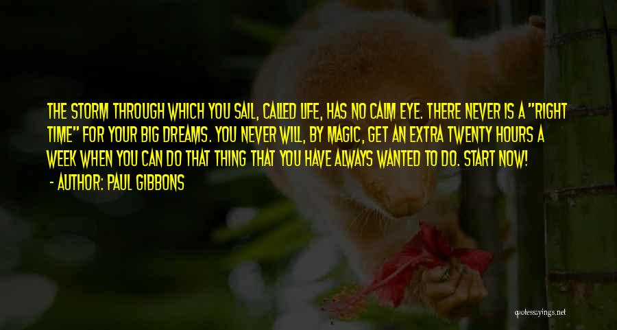 Paul Gibbons Quotes: The Storm Through Which You Sail, Called Life, Has No Calm Eye. There Never Is A Right Time For Your