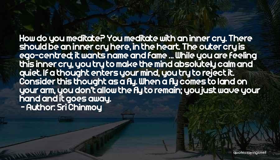 Sri Chinmoy Quotes: How Do You Meditate? You Meditate With An Inner Cry. There Should Be An Inner Cry Here, In The Heart.